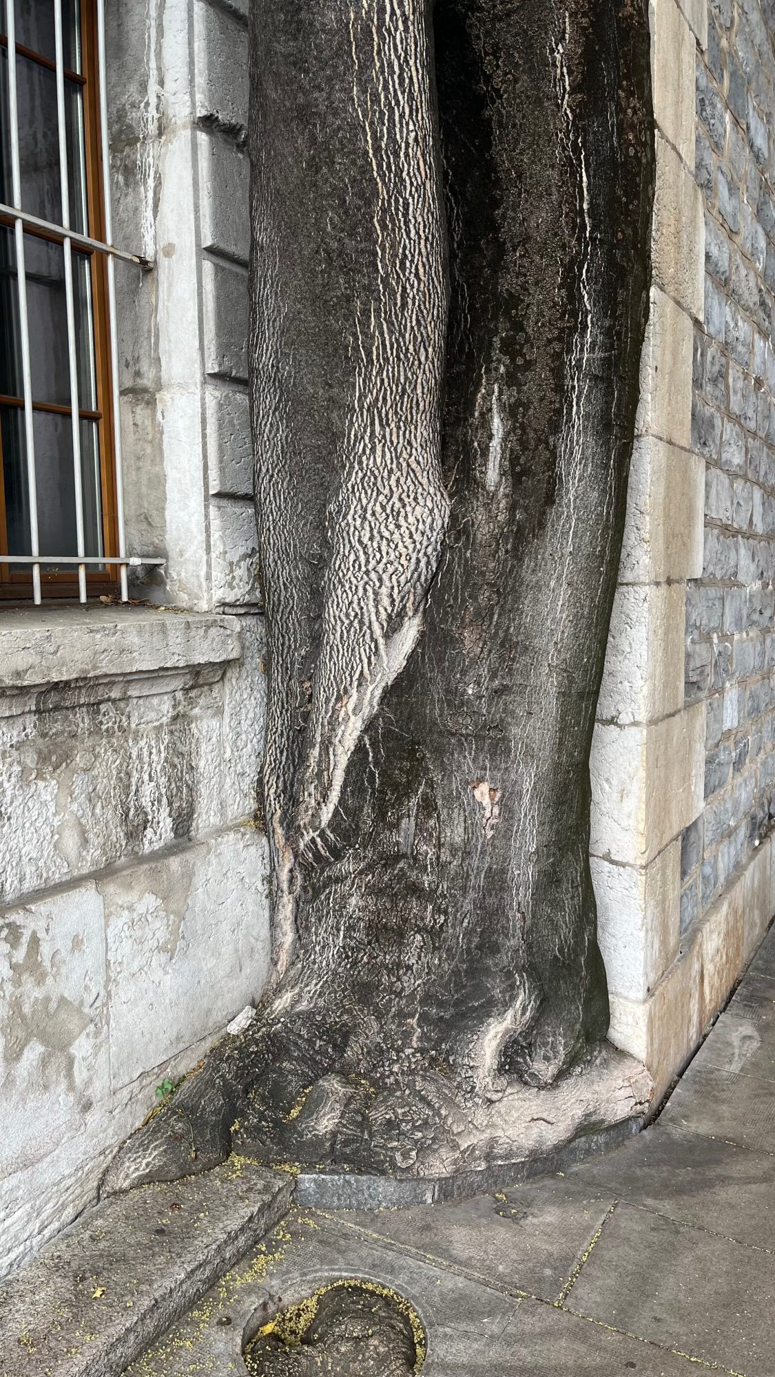 Les pieds dans le plat Font bouger les murs Des cités jadis imprenables